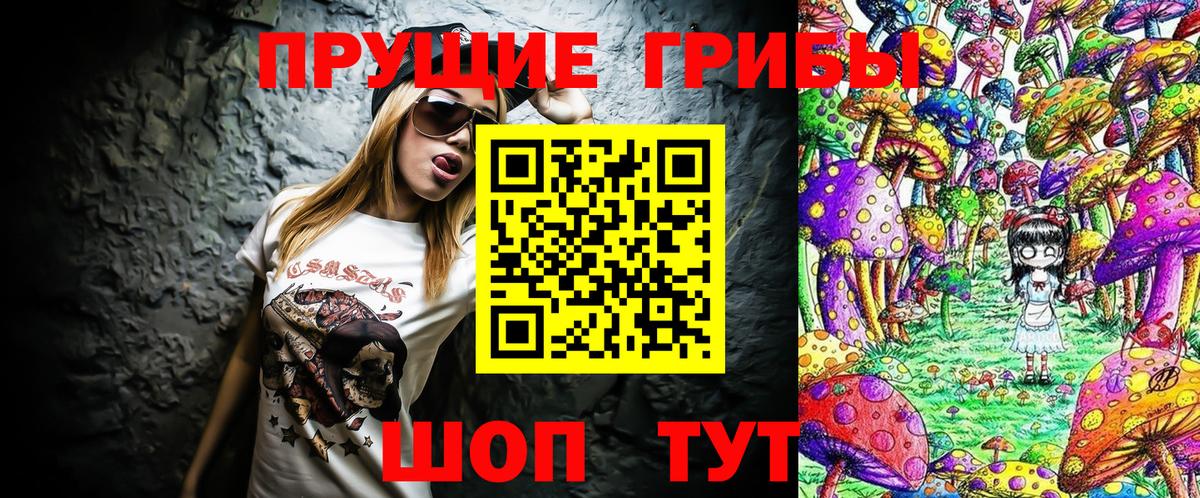 Галлюциногенные грибы Psilocybe Искитим