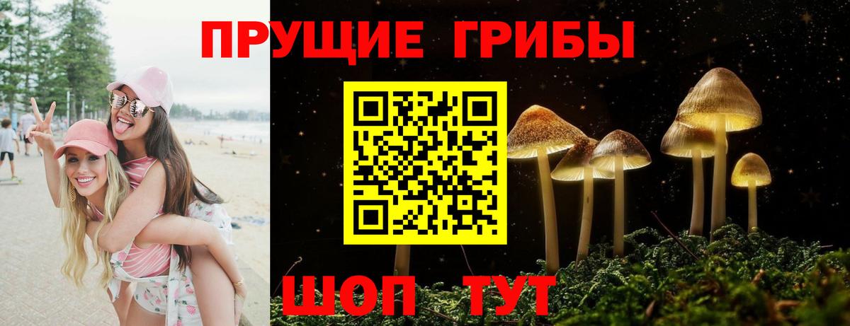 Искитим  Псилоцибиновые грибы Cubensis  Вход с VPN  Псилоцибиновые грибы мухоморы 